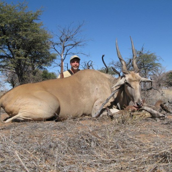 Cape Eland | Namibia Safari Corporation